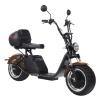 Электроскутер SKYBOARD BR70-2WD Электроскутер SKYBOARD BR70-2WD