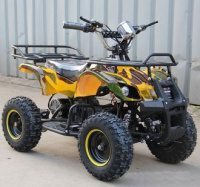 Электроквадроцикл Барс 1000W