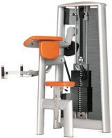 Biceps Curl Machine Sygnum