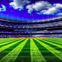 Искусственная трава Stadio M40bi (40мм, монофиламентная) Искусственная трава Stadio M40bi (40мм, монофиламентная)