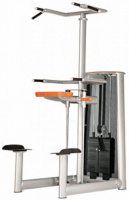 Kneeling/Chinning/Dipping Machine Sygnum