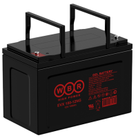 Тяговый аккумулятор EVX100-12NG WBR