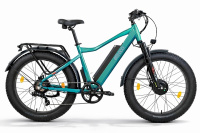 Электровелосипед Eltreco BigCat Dual Next PRO