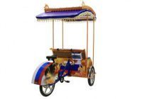 Велорикша Медведь Z1-2M Велорикша Медведь Z1-2M