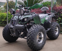 Электроквадроцикл SHERHAN-1000