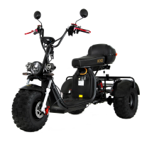 Электроскутер Ikingi X7 PRO Trike Off Road Электроскутер Ikingi X7 PRO Trike Off Road