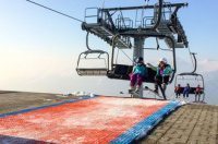 Искусственное покрытие «NevePlast NP-70» Искусственное покрытие «NevePlast NP-70»