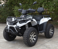 Электрический квадроцикл Greencamel Linhai LH40DA (3900W 50 км/ч)