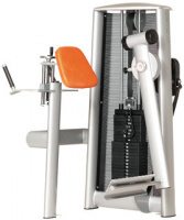 Radial Glutaeus Sygnum