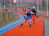 Искусственное покрытие «NevePlast NP-50» Искусственное покрытие «NevePlast NP-50»