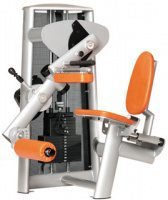 Seated Leg Curl Sygnum