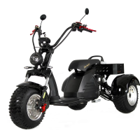Электроскутер Ikingi M6 PRO Trike Электроскутер Ikingi M6 PRO Trike