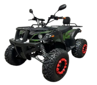 Электроквадроцикл Ikingi 225