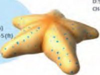 Элемент для площадки "Морская звезда"