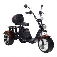 Электроскутер SKYBOARD TRIKE BR80 Электроскутер SKYBOARD TRIKE BR80
