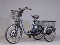 Электровелосипед трицикл E-motions Kangoo-ru 500w (36v/12Ah) / 700W (48v/13Ah)