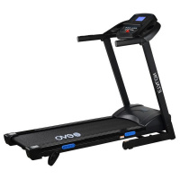 Беговая дорожка Evo Fitness Etalon