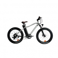 Электровелосипед El-sport bike TDE-03 350W