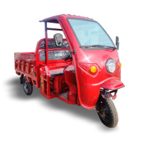 Грузовой электротрицикл Муравей Кузов Грузовой электротрицикл Муравей Кузов