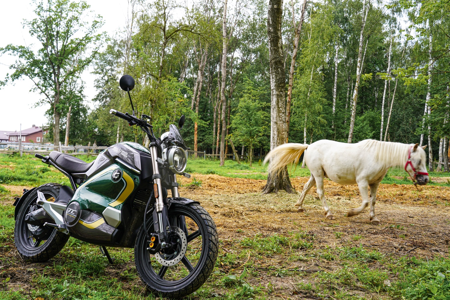 White Siberia super SOCO TC. Электромотоцик White Siberia super SOCO TSX. Электромотоцикл детский White Siberia Muxa 1300. White Siberia Wanderer.