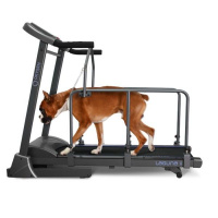 Беговая дорожка Oxygen LAGUNA II DOGGIE EDITION