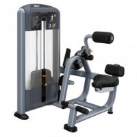 Tpeнaжep Разгибание спины PRECOR DSL313