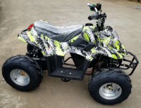 Квадроцикл GreenCamel Gobi K50 (36V 800W R7 Цепной привод)