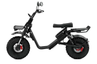 Электроскутер SkyBoard Kamchatka 3000W Электроскутер SkyBoard Kamchatka 3000W