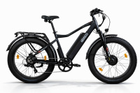 Электровелосипед Eltreco BigCat Dual Next