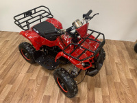 Квадроцикл GreenCamel Gobi K21 (36V 800W R6 Цепной привод)