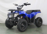 Электроквадроцикл GreenCamel Гоби K24 (36V 800W R6 Цепь)