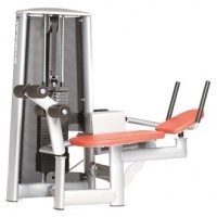 Lying Abdominal Machine Sygnum Lying Abdominal Machine Sygnum