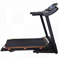 Беговая дорожка электрическая Royal Fitness RF-6