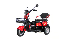 Электртрицикл Ikingi Sibtrike 115