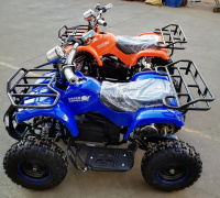 Квадроцикл GreenCamel Gobi K300 (36V 800W R6 Цепной привод)