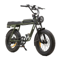 Электро фэтбайк eRace EH03 Электро фэтбайк eRace EH03