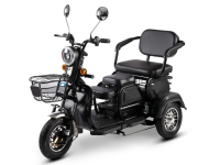 Электротрицикл TRION COMPASS 1000W Электротрицикл TRION COMPASS 1000W