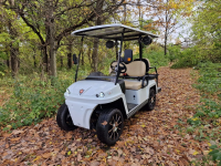 ГОЛЬФКАР КОНКОРДИЯ URBIS 2+2