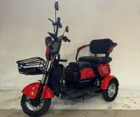 Трицикл GreenCamel Фродо X7 V2 (48V20Ah 500W R8) дифференциал