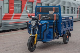 Грузовая электрическая тележка (ГЭТ- 750.1200.32) Грузовая электрическая тележка (ГЭТ- 750.1200.32) ECO5731