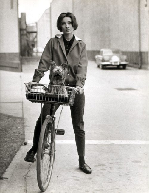 Одри Хепберн на велосипеде
