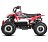 Детский электроквадроцикл SNEG LETO R 