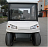 Гольфкар VOLTECO NEW TL 020 594353