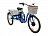 Электровелосипед трехколесный Horza Stels Trike 24-T2 350W 36V/15Ah 15 Ач eco1452