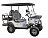 Гольфкар GreenCamel Linhai A22L (2+2, 4kW AC, R14 литые) LUX lifted Гольфкар GreenCamel Linhai A22L (2+2, 4kW AC, R14 литые) LUX lifted