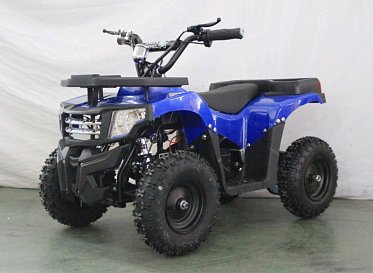 Квадроцикл GreenCamel Гоби K24 (36V 800W R6 Цепь) 