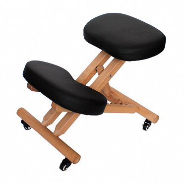 Ортопедический стул GESS-810 Vertebra Pro ASK175792