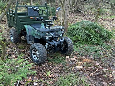 Квадроцикл грузовой GreenCamel Сахара A015 (72V 1500W R10alum) пониженная 