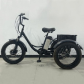 Электровелосипед GreenCamel Трайк-F20 (R20FAT 500W 48V12Ah) 7скор (Цвет: Черный)