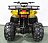 Электрический квадроцикл Атакама T220 (48V 1000W R8 Дифференциал) Gre2148